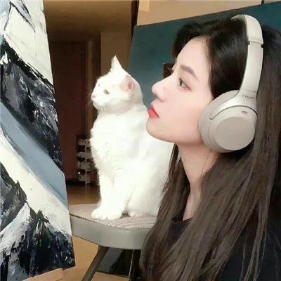 一条安达鲁狗